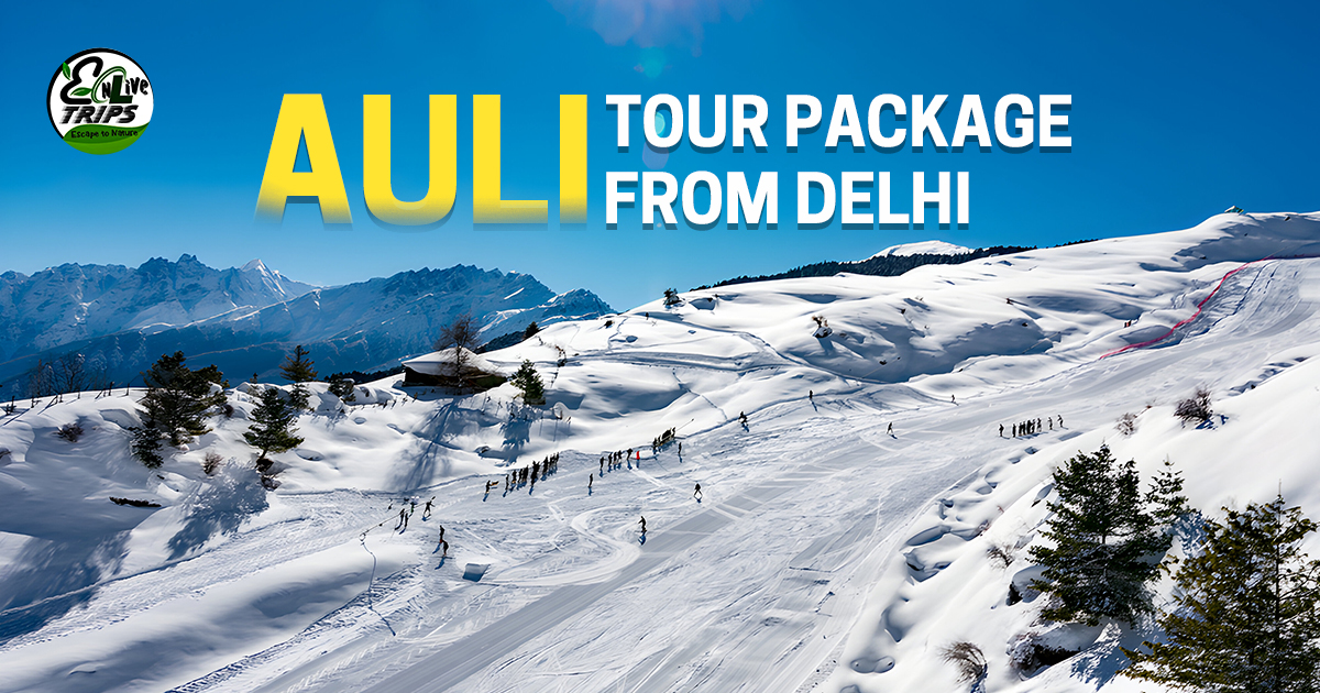 Auli packages from Delhi